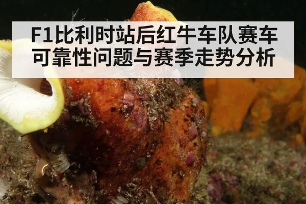 F1比利时站后红牛车队赛车可靠性问题与赛季走势分析