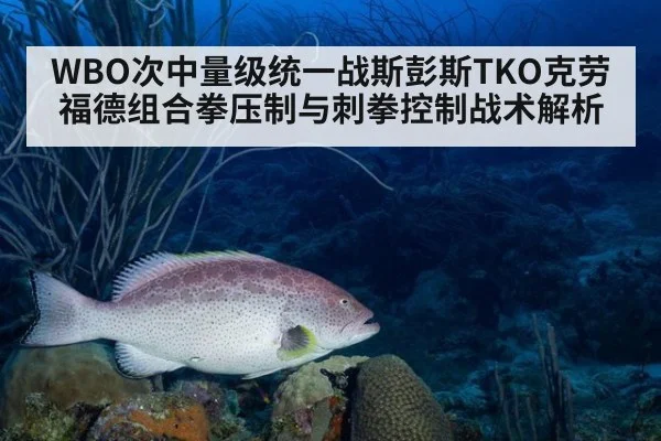 WBO次中量级统一战斯彭斯TKO克劳福德组合拳压制与刺拳控制战术解析