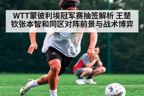 WTT蒙彼利埃冠军赛抽签解析 王楚钦张本智和同区对阵前景与战术博弈